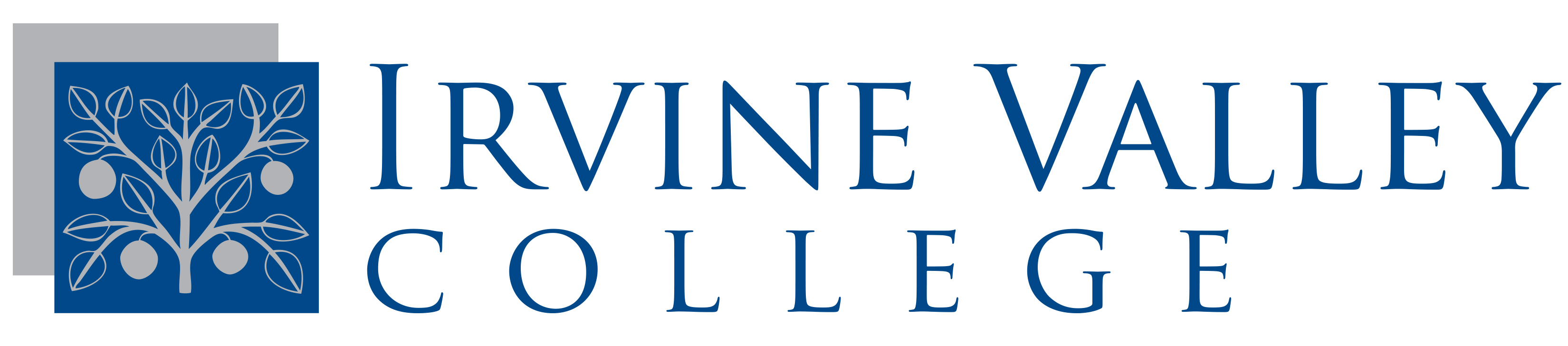 Irvine Valley College, USA